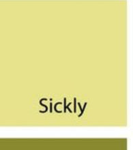 Load image into Gallery viewer, Sickly
